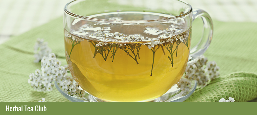 herbalteaClub2 herbalteaClub2
