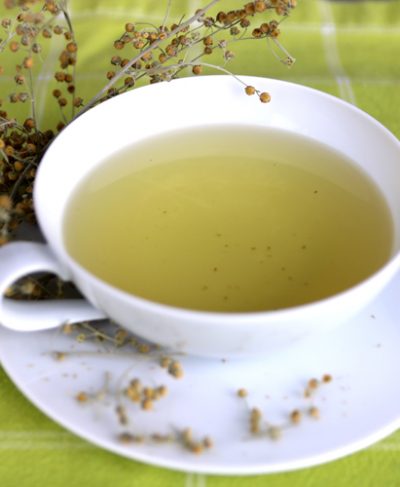artemisia_absinthium_tee_web artemisia_absinthium_tee_web