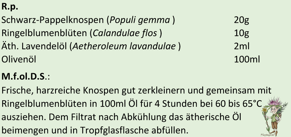 Pappelknospensalbe-150dpi Pappelknospensalbe-150dpi